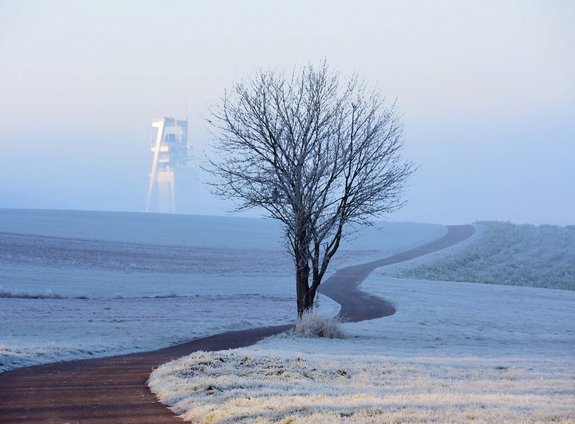 Ein Weg führt vorbei an einem verschneiten Feld, worauf ein kahler Baum steht. Im Hintergrund erkennt man im Nebel den ehemaligen Förderturm vom Nordschacht Reisbach.
