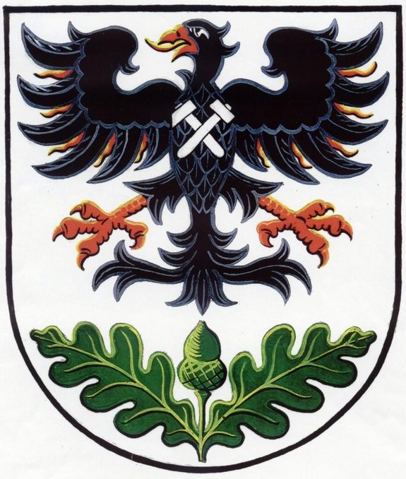Das Wappen von Stochov.