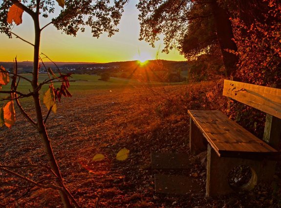 Herbstliche Landschaftsaufnahme in Orange- und Grüntönen. Am rechten Bildrand steht eine Holzbank am Waldrand. Die Landschaft wird vom untergegenden Sonnenlicht umhüllt.