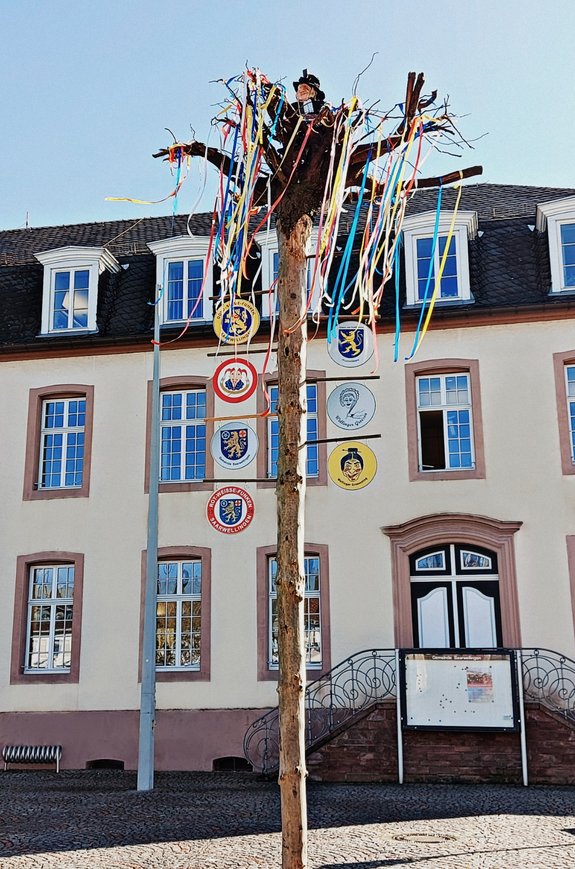 Ein kahler Baum steht vor dem Saarwellinger Rathaus. Die Baumkrone ist geschmückt mit bunten Bändern. In der Spitze sitzt eine Puppe auf einem Stuhl. Am Stamm sind verschiedene Plaketten von Fastnachtsvereinen befestigt.