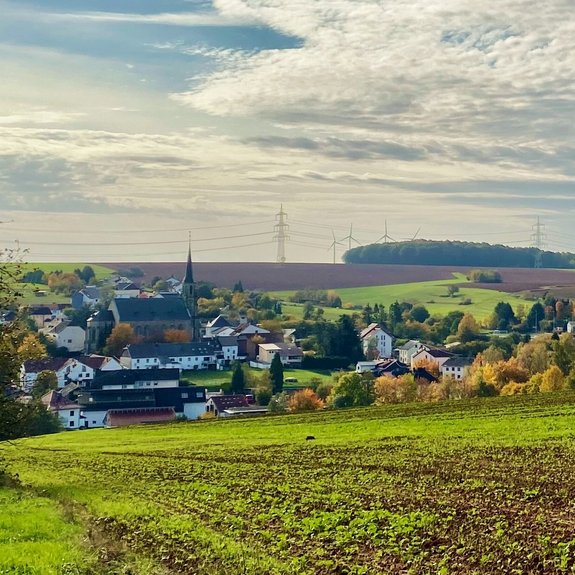 Landschaftsaufnahme mit Blick auf den Ort Reisbach