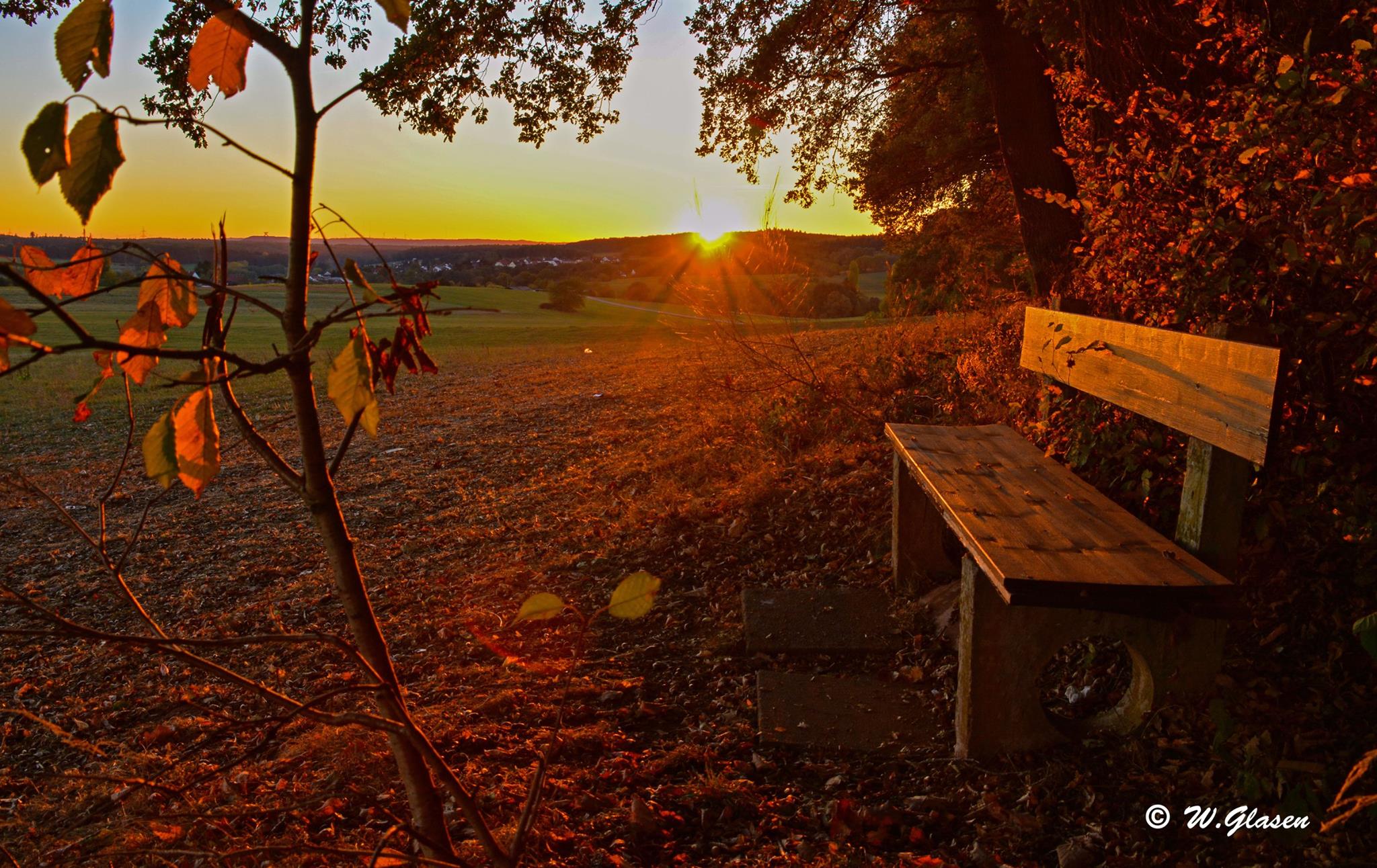 Herbstliche Landschaftsaufnahme in Orange- und Grüntönen. Am rechten Bildrand steht eine Holzbank am Waldrand. Die Landschaft wird vom untergegenden Sonnenlicht umhüllt.