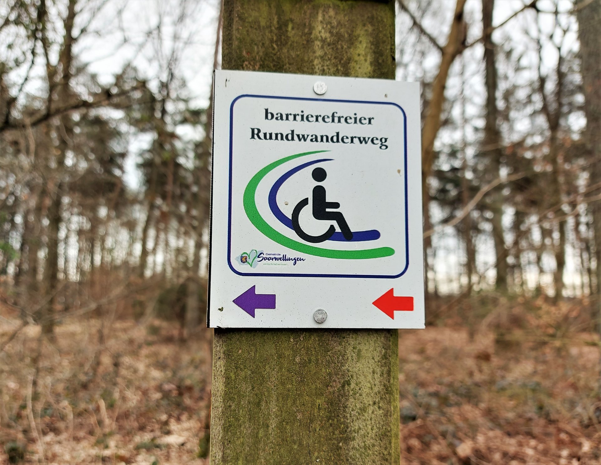 Ein Holzpfosten, an welchem ein Markierungsschild des barrierefreien Rundwanderweges in Saarwellingen befestigt ist. Das rechteckige Wegeschild zeigt in einem quadratischen Viereck grafisch einen Rollstuhlfahrer, welcher auf einem Weg unterwegs ist. Der Weg ist durch eine grüne und eine blaue Linie angedeutet. In der linken Bildecke ist das Logo der Gemeinde Saarwellingen zu sehen. Über dem Rollstuhlfahrer stehr in schwarzer Schrift barrierefreier Rundwanderweg. Unter dem Quadrat zeigen ein kleiner roter und ein kleiner blauer Pfleil nach links. Mit den Pfeilen wird die Wegrichtung angegeben.