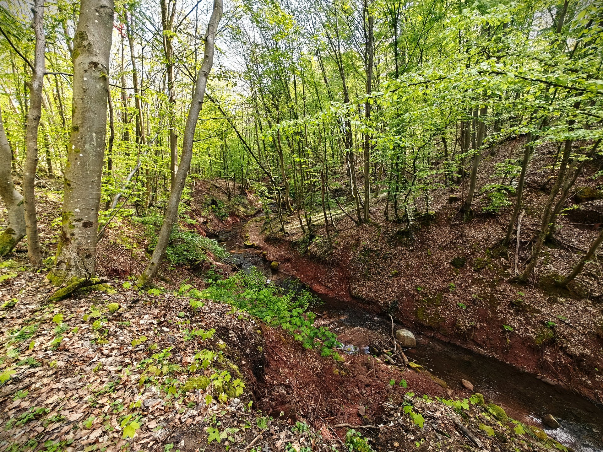 Kleiner Wasserfall im Wald.