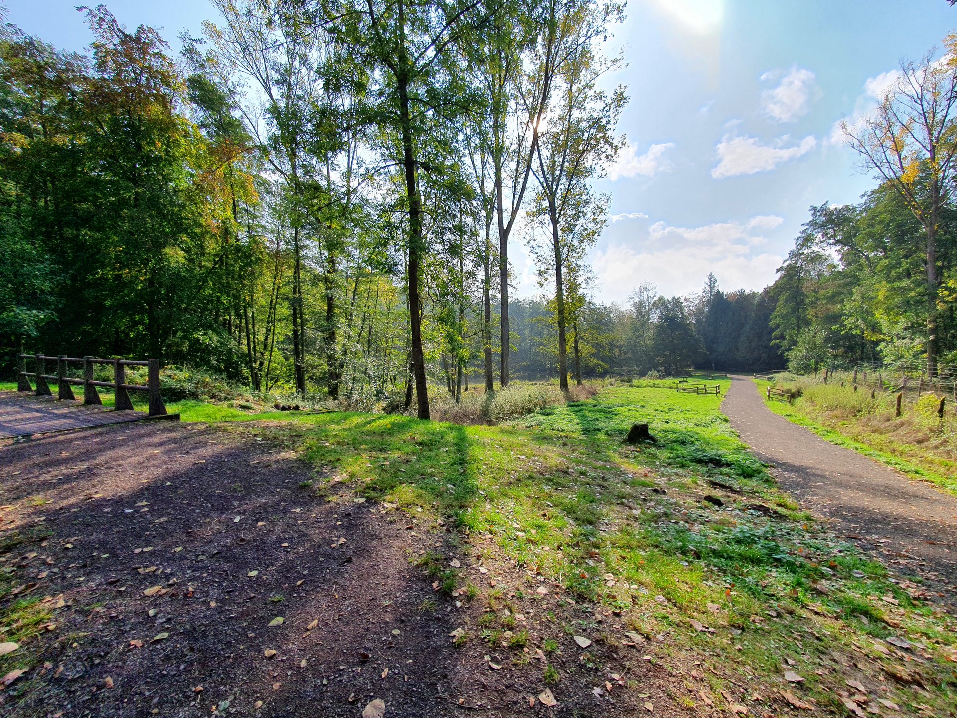 Weggabelung im Wildpark in Saarwellingen. Kiesweg umgeben von Grünfläche und Bäumen.